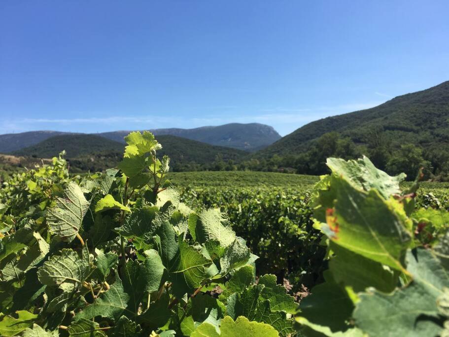 فيلا L'Ancienne Raffinerie De Tabac Dernacueillette المظهر الخارجي الصورة