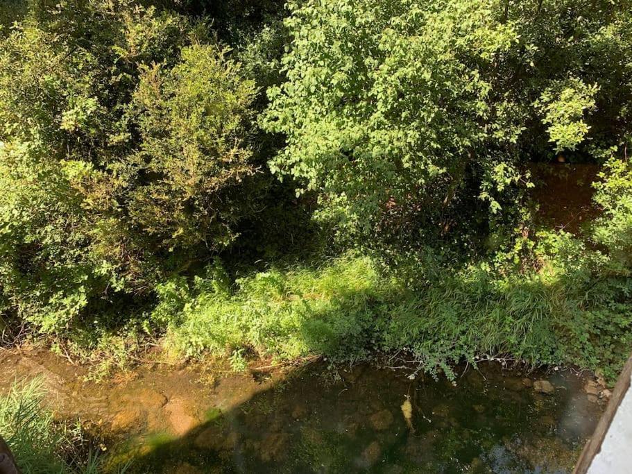 فيلا L'Ancienne Raffinerie De Tabac Dernacueillette المظهر الخارجي الصورة
